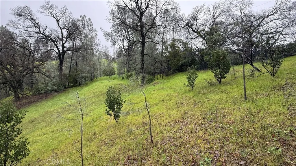 Photo of 16370 Oakridge Road