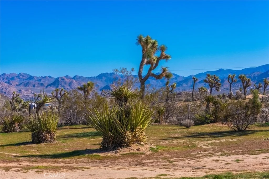 Photo of 5437 Paradise View Road