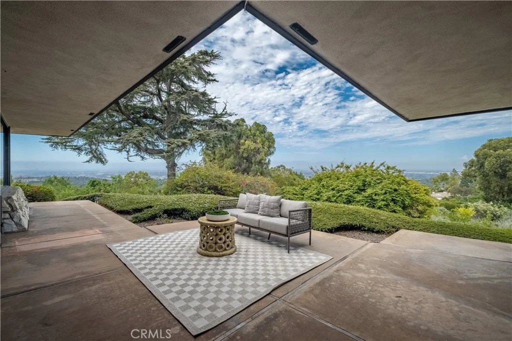 Photo of 57 Saddleback