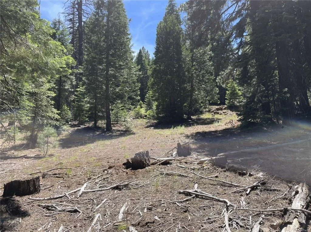 Photo of 0 Range Road