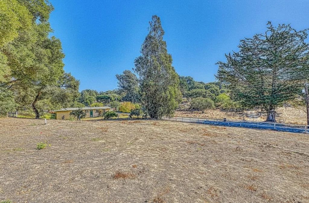 Photo of 7695 Pine Tree Way
