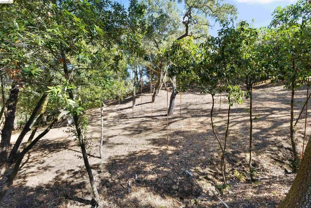 Photo of 822 Acalanes Rd