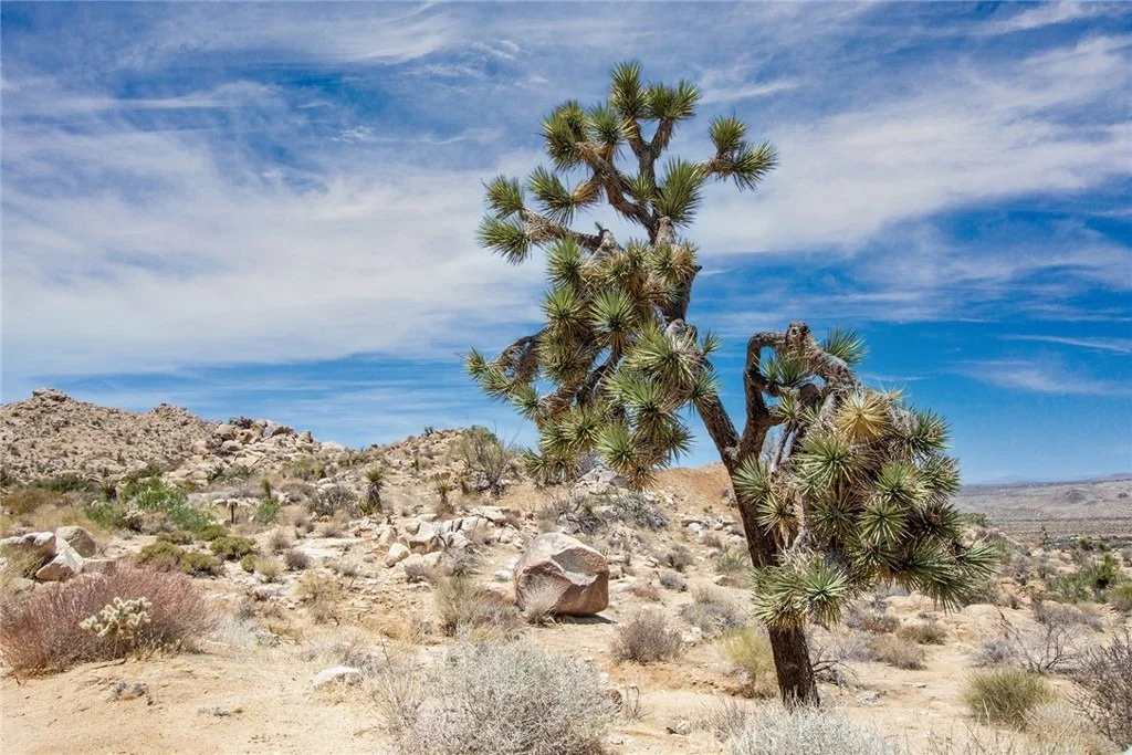 Photo of 60300 Mountain Trail