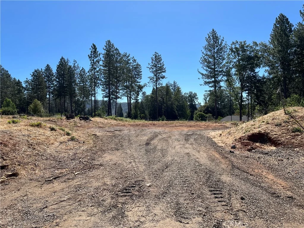 Photo of 9238 Skyway Road