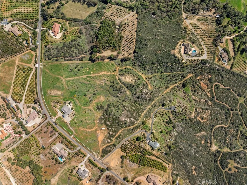 Photo of 2 Las Palmeras