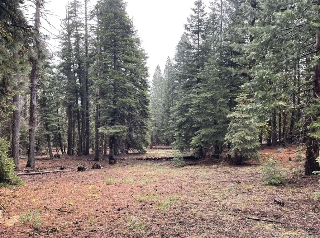 Photo of 0 Range Road