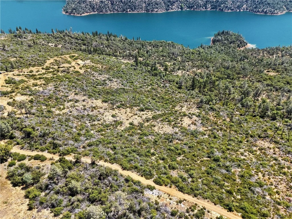 Photo of 0 Condor