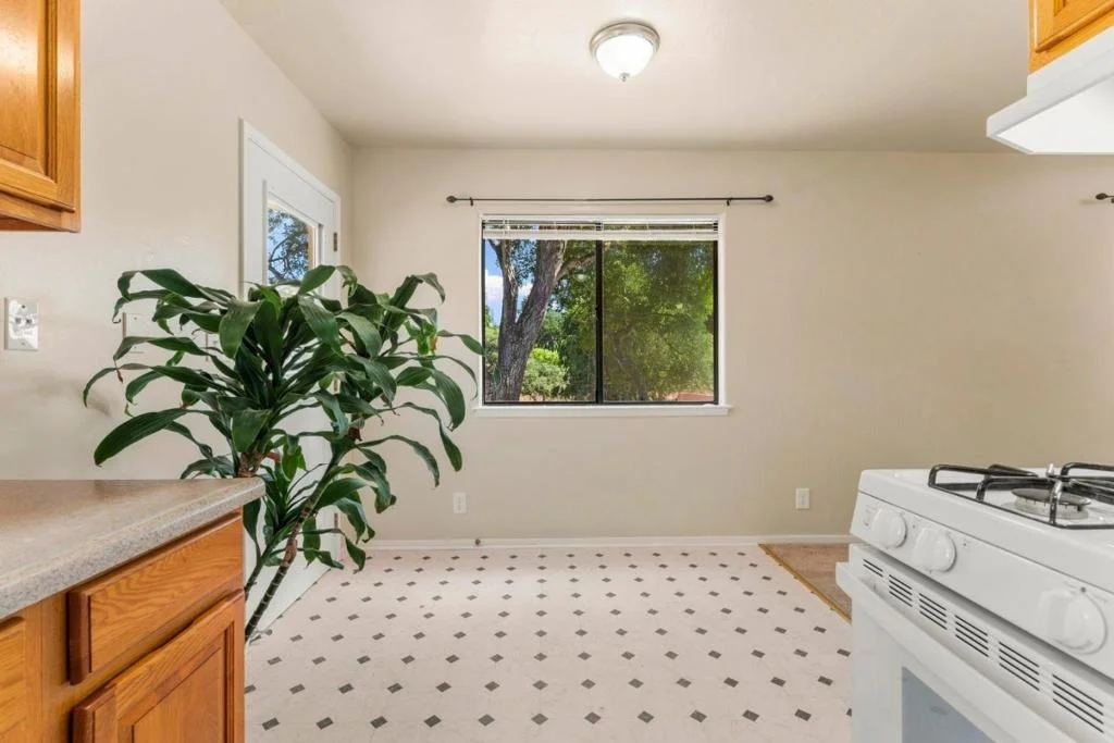 Photo of 76857695 Pine Tree
