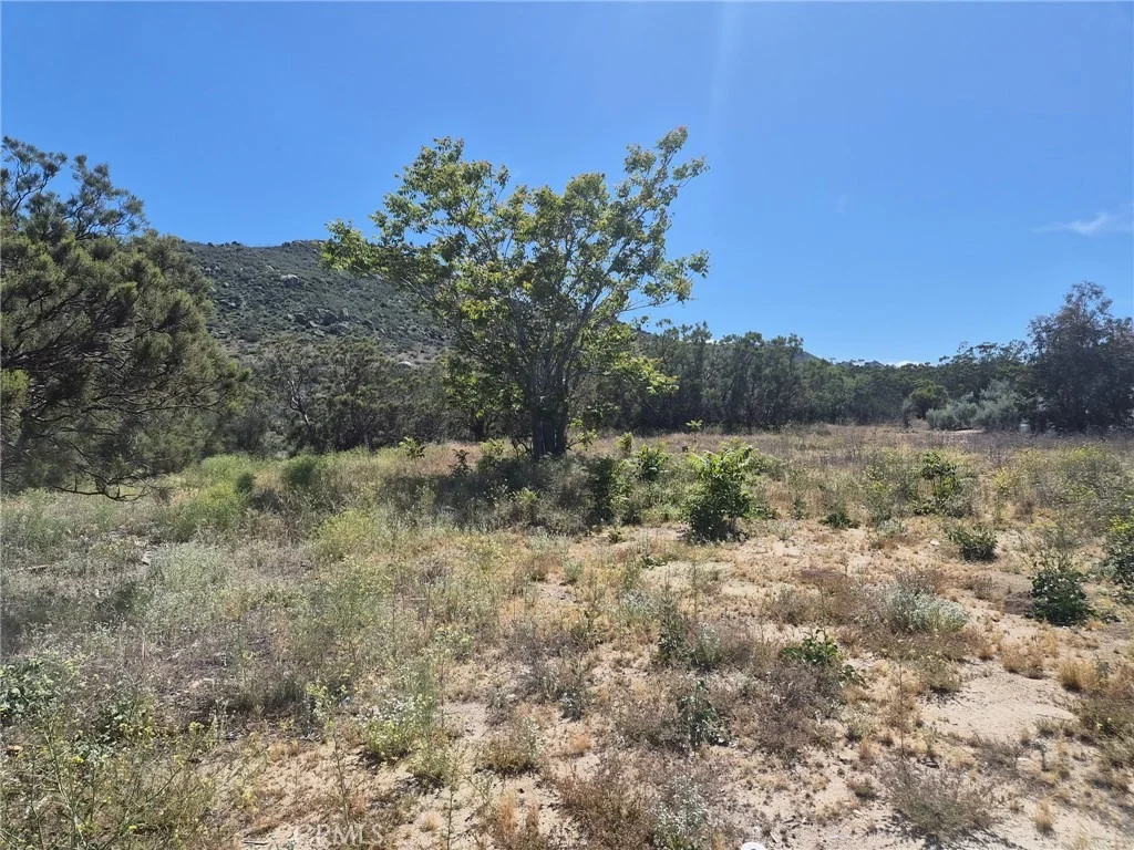 Photo of 55355 Tule Peak Road