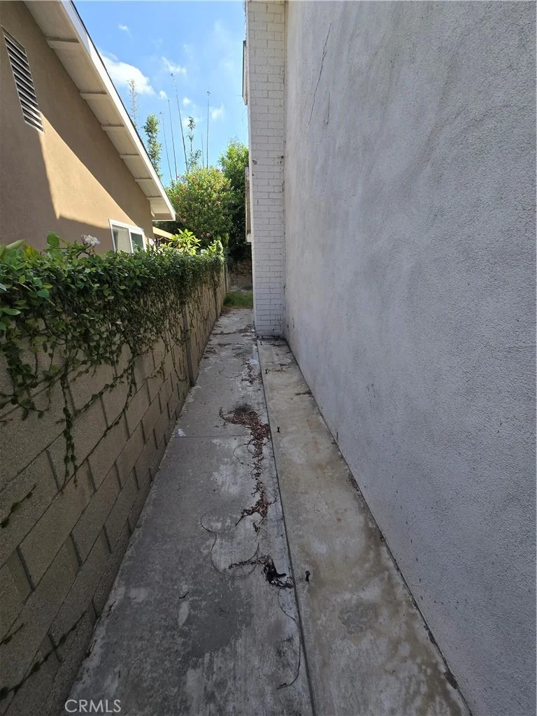 Photo of 3840 Rose