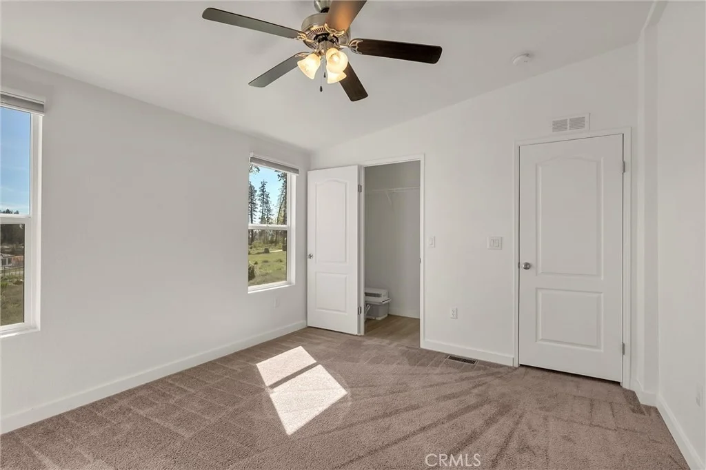 Photo of 6530 Daphne