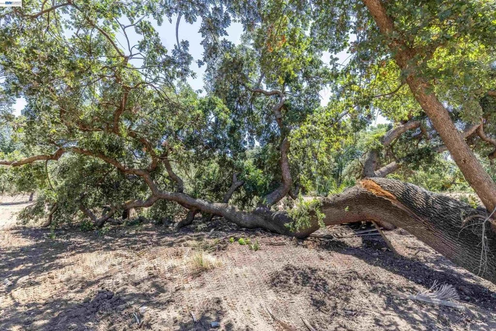 Photo of 3515 Kellogg Creek Rd