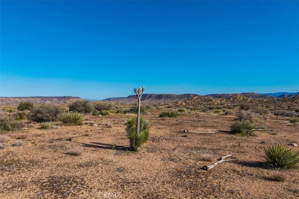 Photo of 3263 Apache Pass