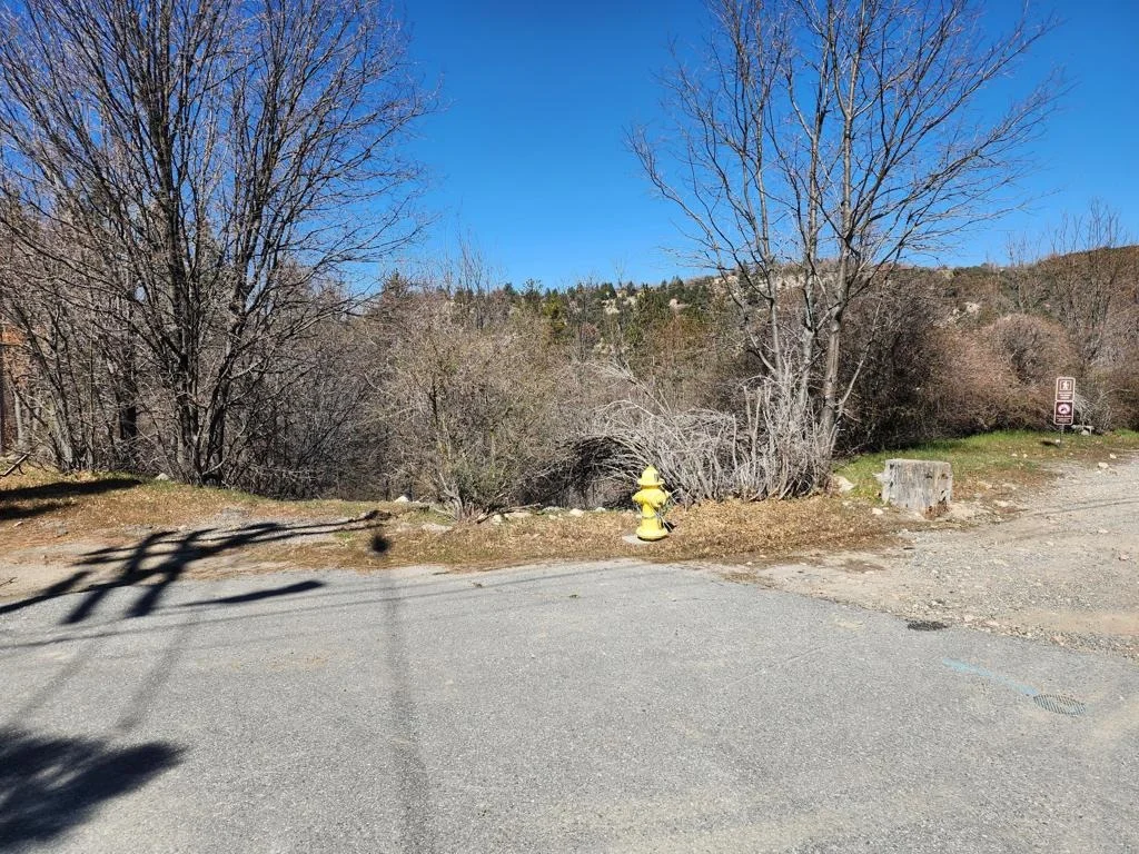 Photo of 0 Elder Drive