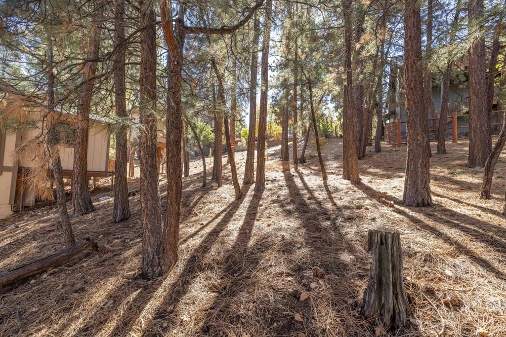 Photo of 1409 Klamath Road
