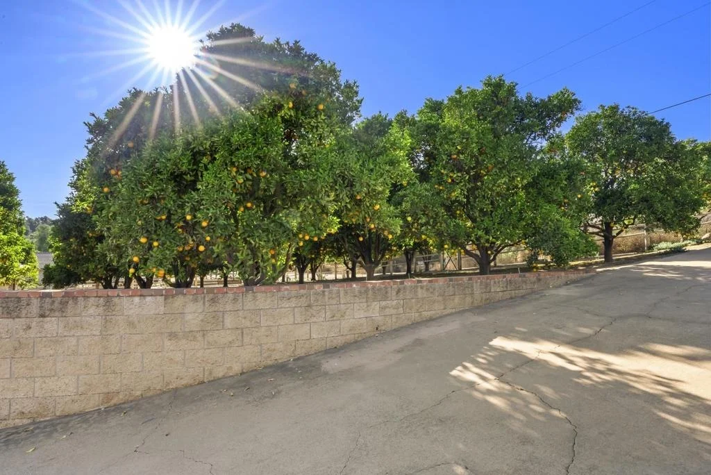 Photo of 29481 Miller
