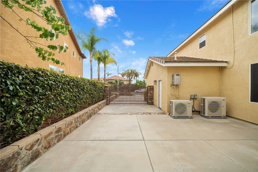 Photo of 26352 Palm Tree