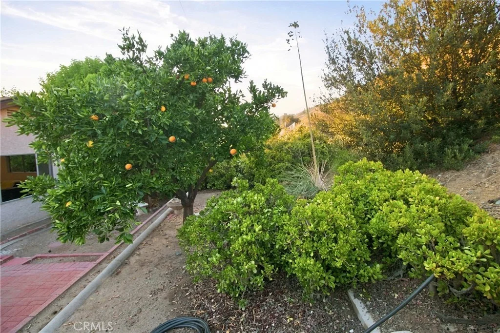 Photo of 1818 Hilton Drive