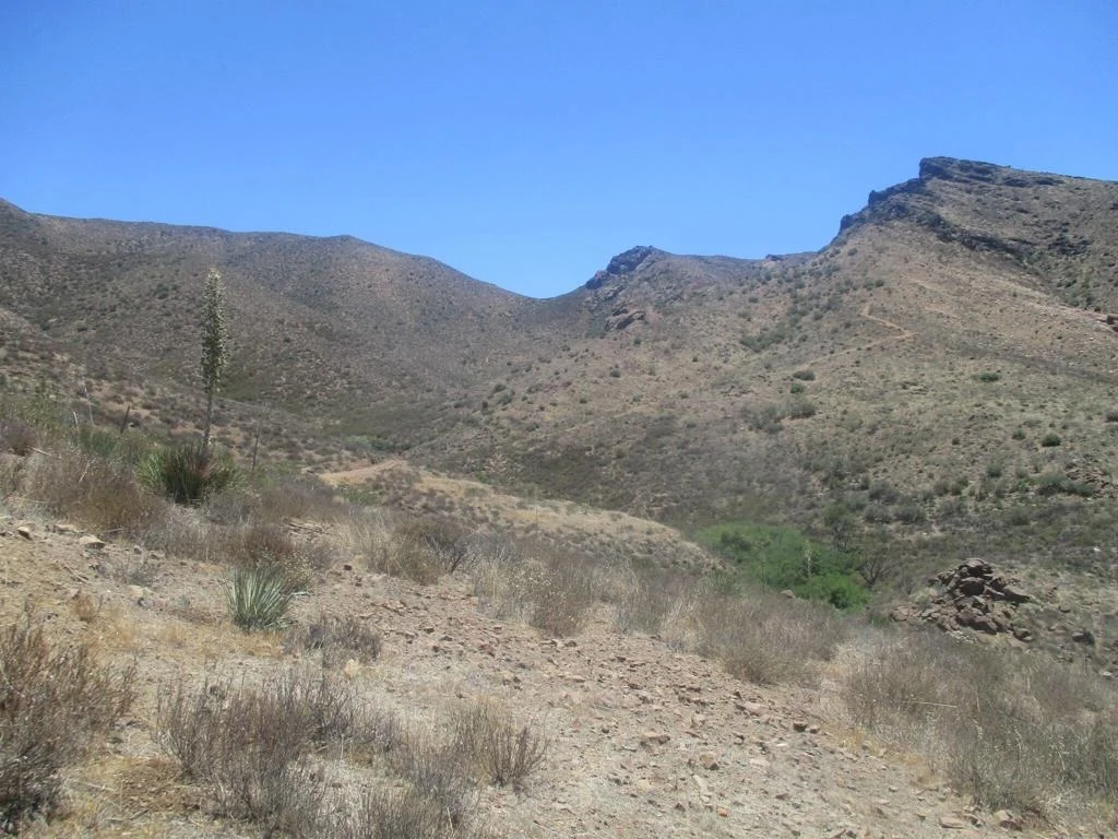 Photo of 28 Hughes
