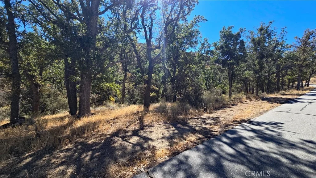 Photo of 0 Saint Moritz Drive