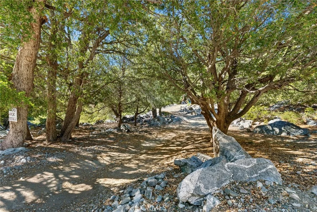 Photo of 3 Glacier