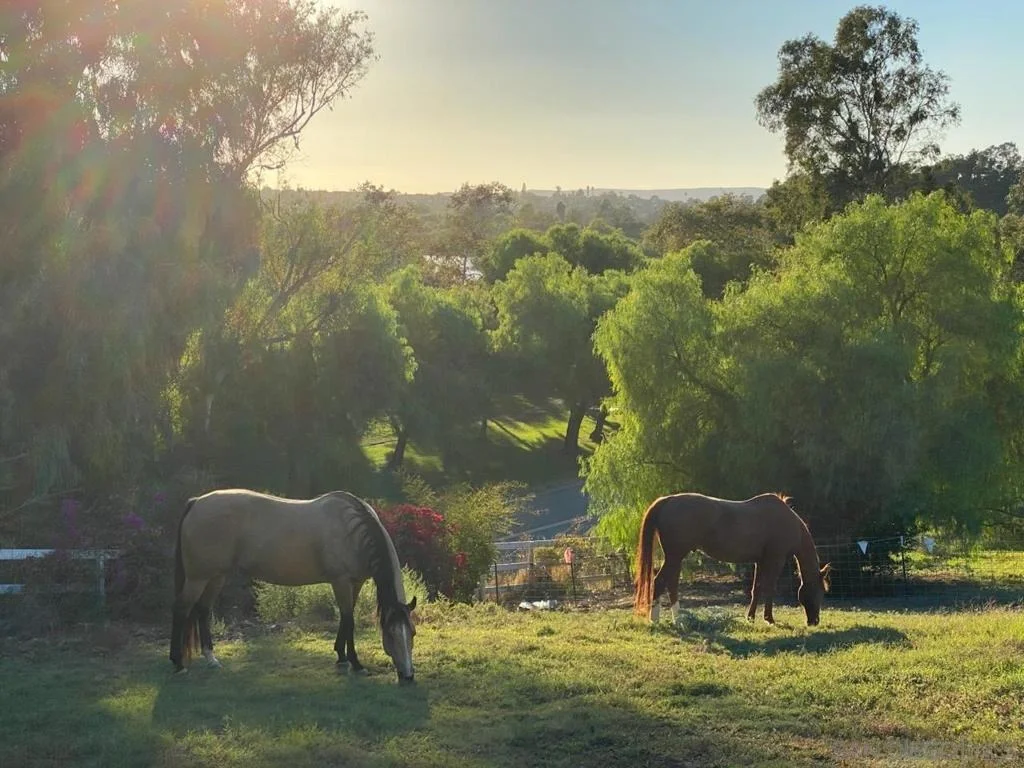 Photo of 3003 Guajome Lake Road