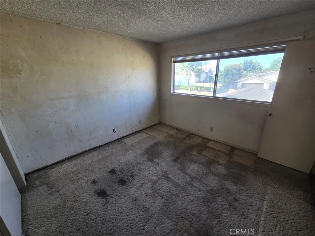 Photo of 3840 Rose