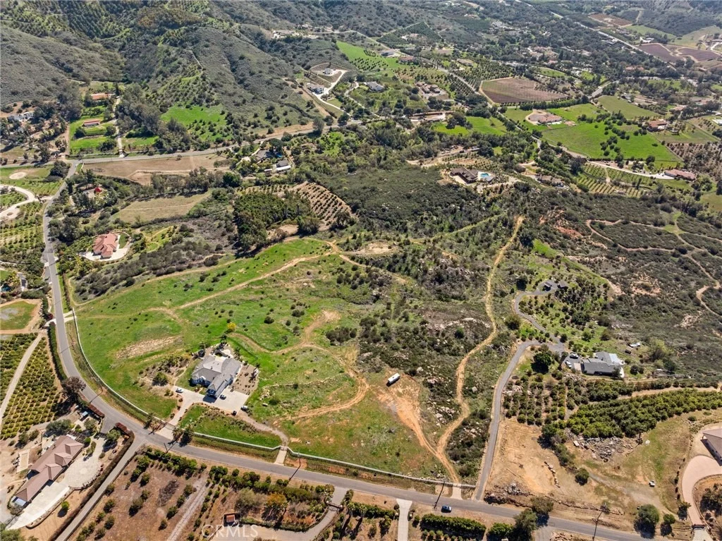 Photo of 2 Las Palmeras