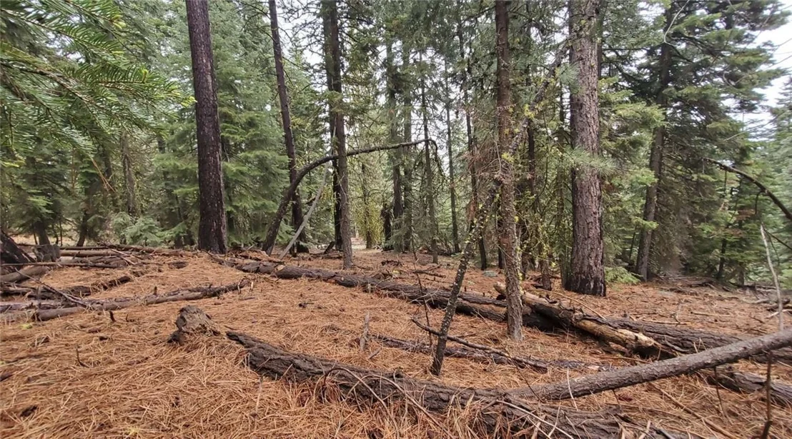 Photo of 0 Range Road