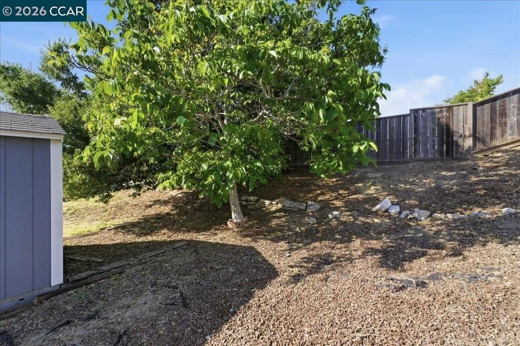 Photo of 2648 Shamrock Dr