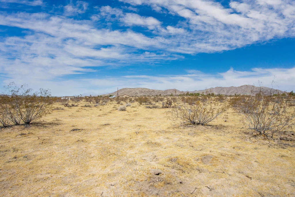 Photo of 62585 Two Mile Road