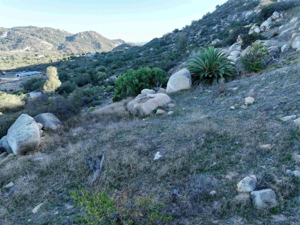 Photo of Rainbow Peaks Trail