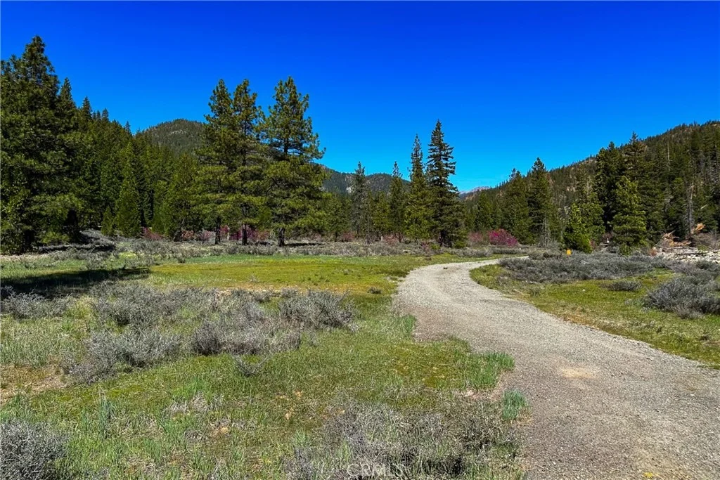 Photo of 79402 State Highway 3