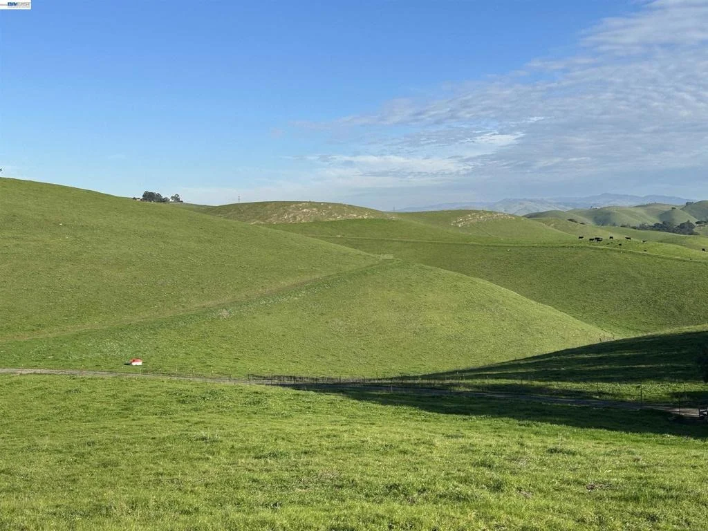 Photo of Morrison Canyon Rd Lot #4