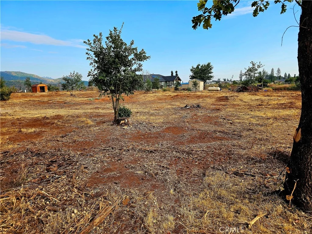 Photo of 2015 Picnic Lane