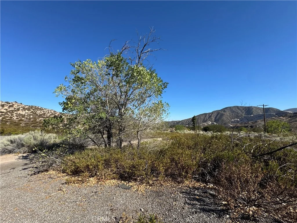 Photo of 4292 Davis Ranch Road