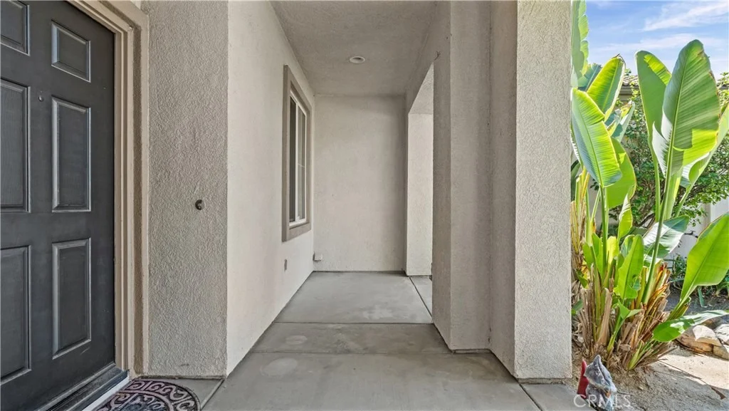Photo of 29128 Blue Spruce