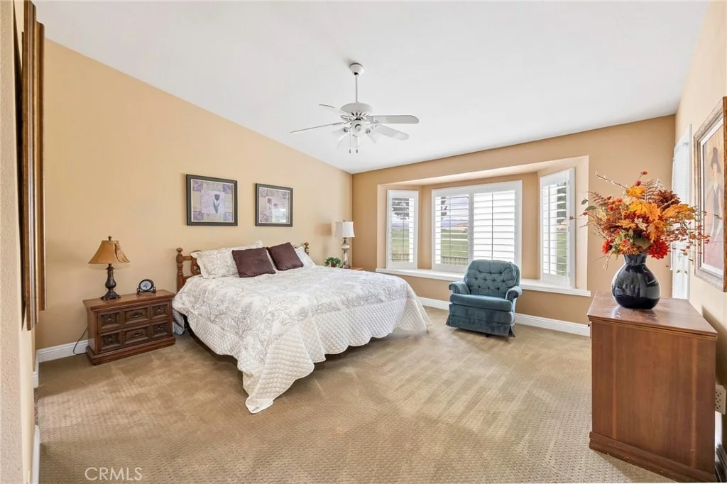 Photo of 2767 Banyan Tree