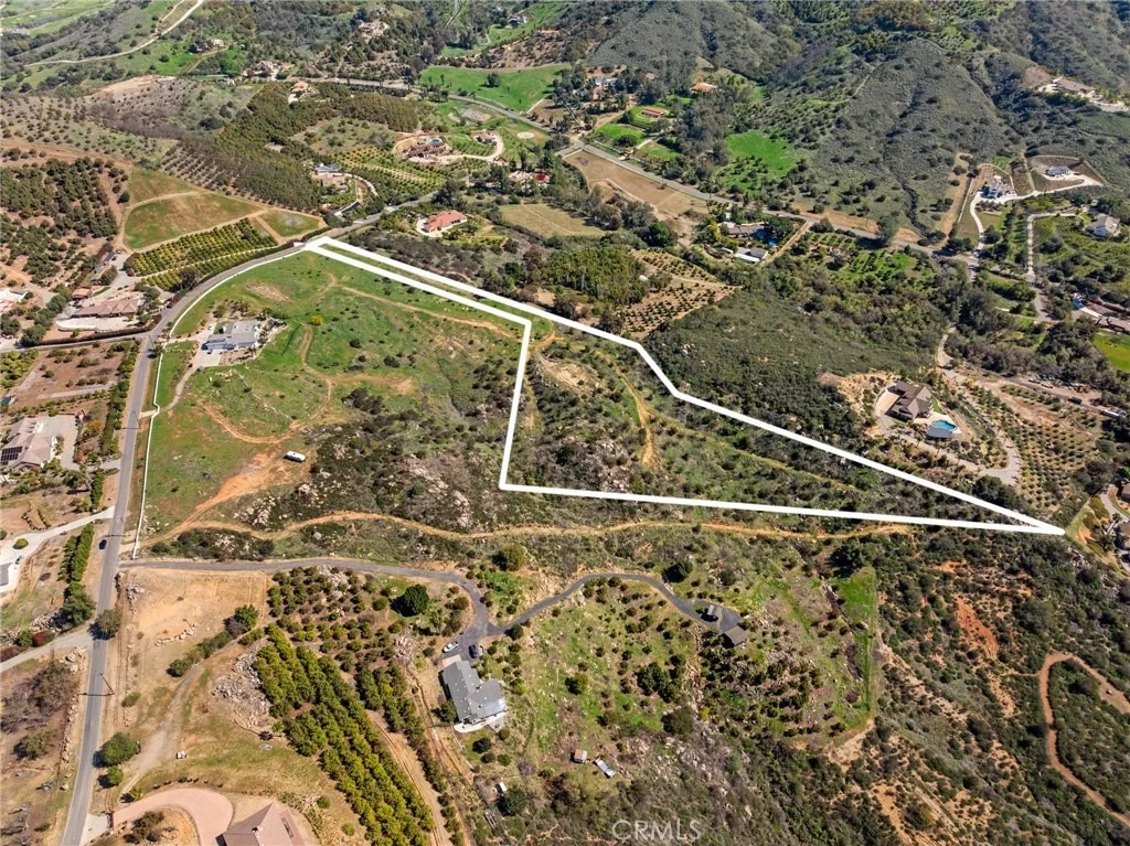 Photo of 2 Las Palmeras