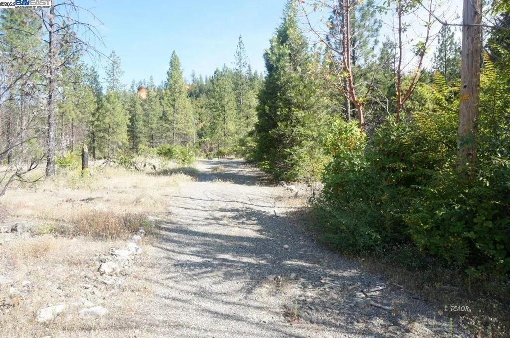 Photo of 101 River Acres