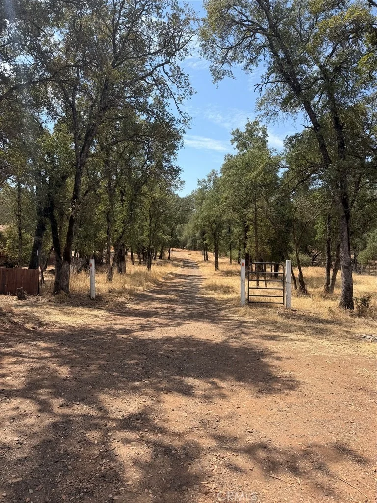 Photo of 2771 Pinecrest