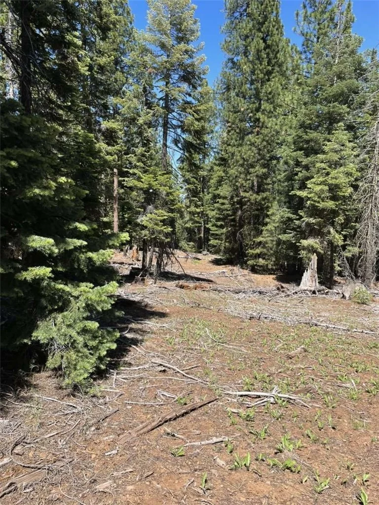 Photo of 0 Range Road