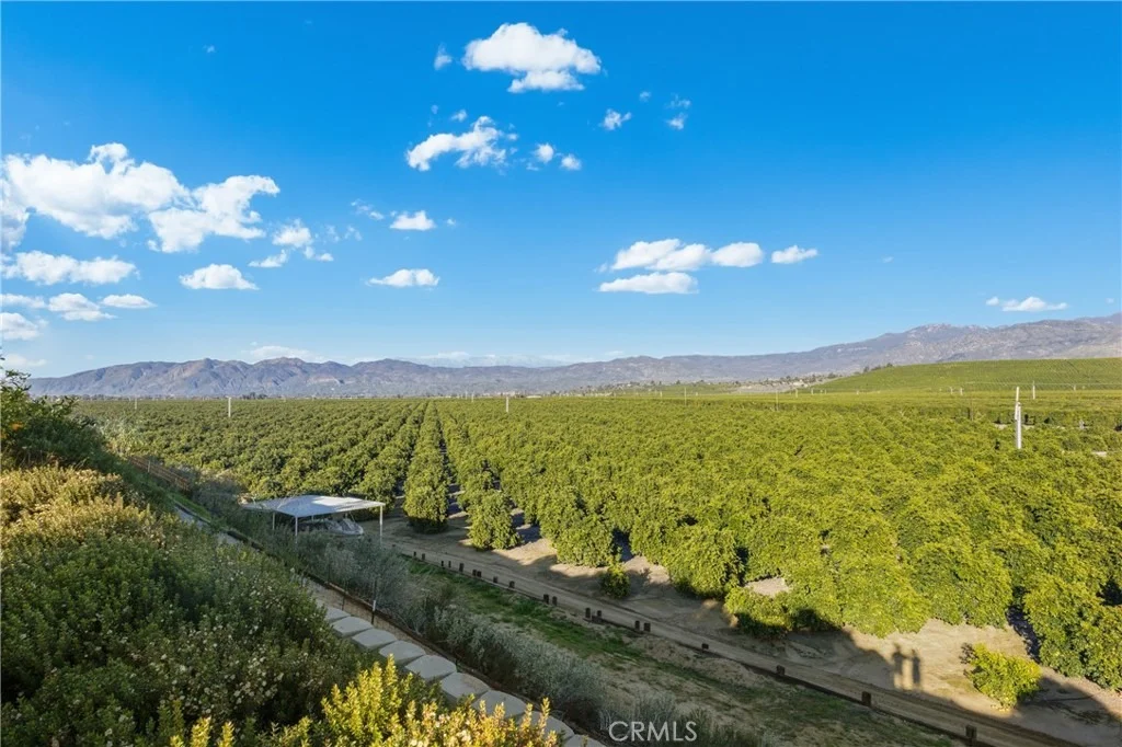Photo of 43840 Citrus View