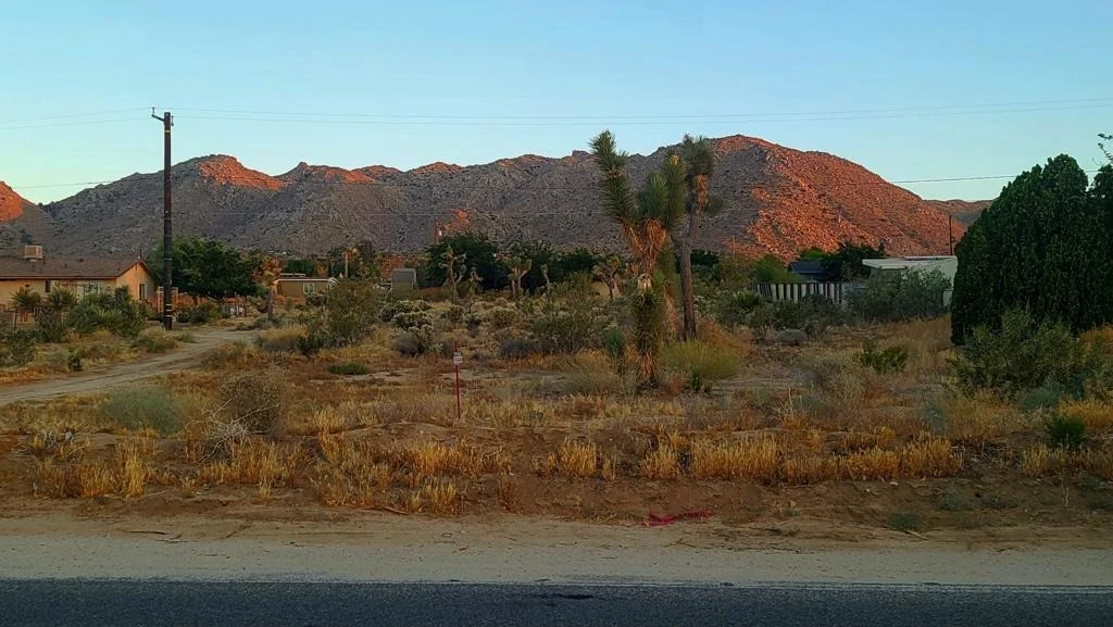 Photo of 60307 Alta Loma Drive