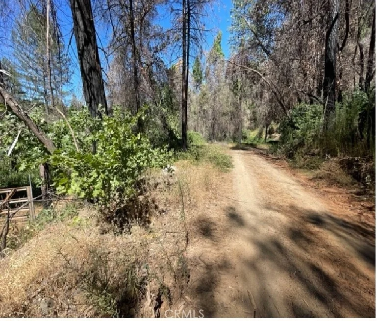 Photo of 27 Broken Springs