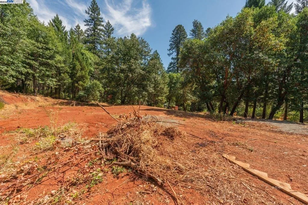Photo of 171 Connor Creek Rd