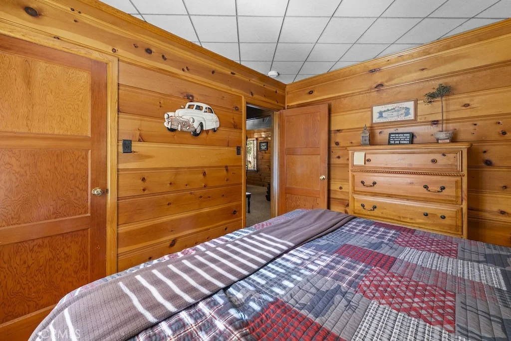 Photo of 39161 Buckthorn