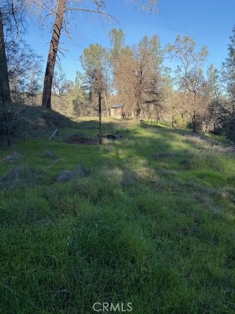 Photo of 7098 Corral
