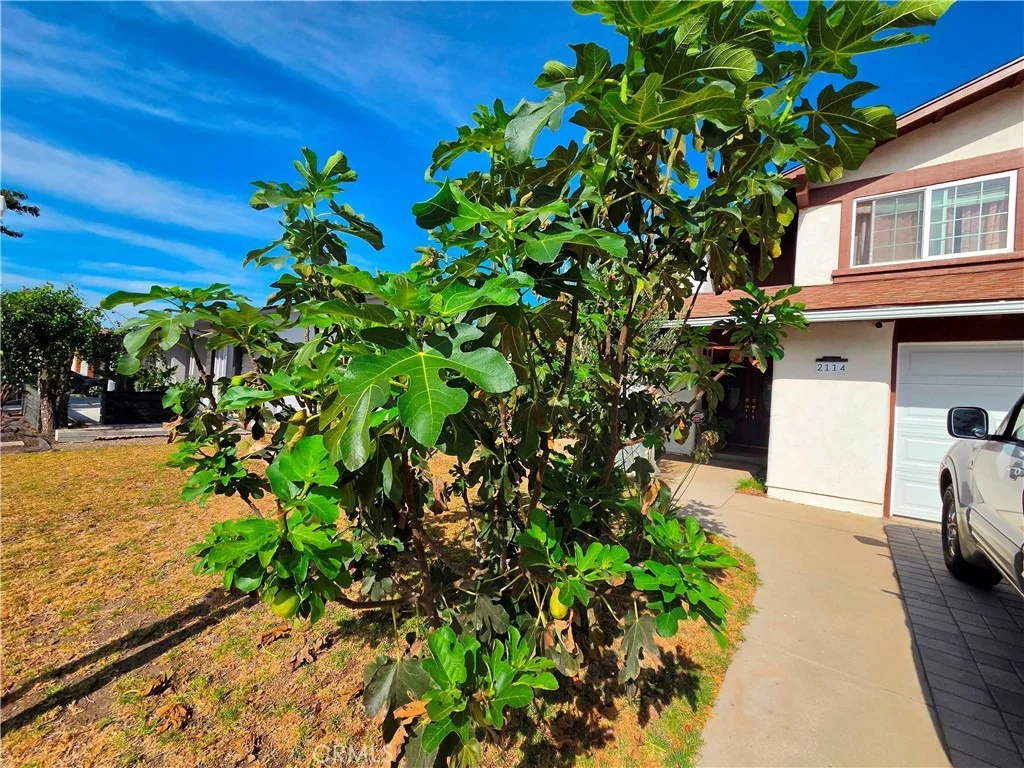 Photo of 2114 Rhonda Street
