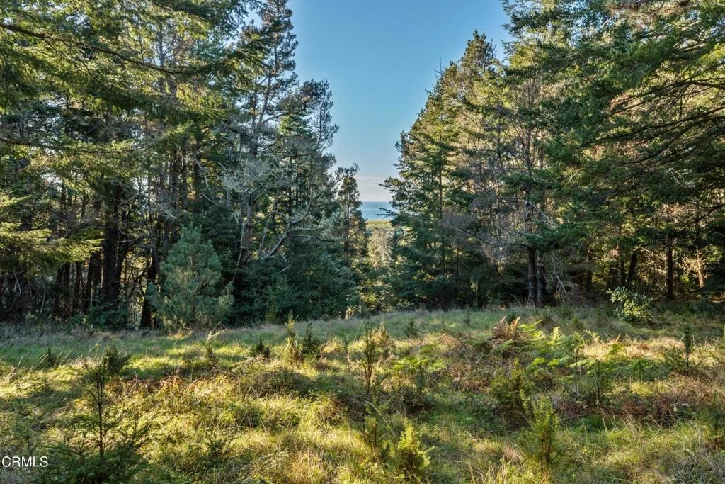 Photo of 4150 California 1